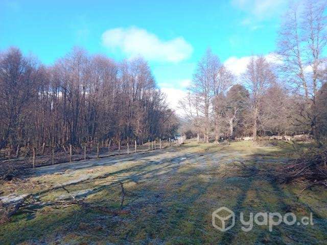 Lote 5000 m2 Bahía Murta - Imagen 9