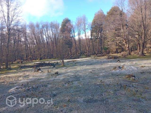 Lote 5000 m2 Bahía Murta - Imagen 4