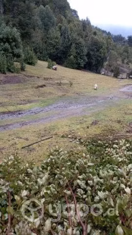 Terreno con casa - Imagen 5