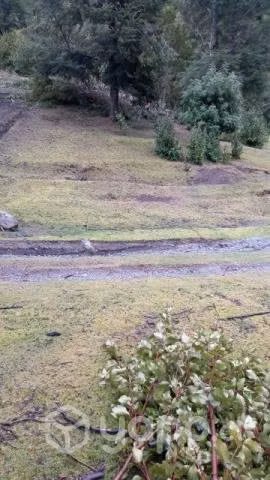 Terreno con casa - Imagen 6