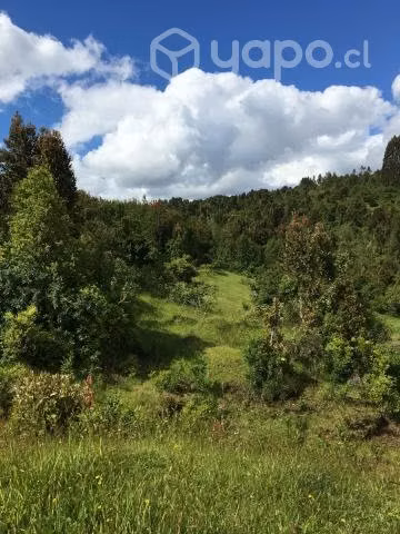 Hermosa Parcela de 5 hectáreas