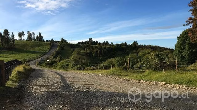 Hermosa Parcela de 5 hectáreas