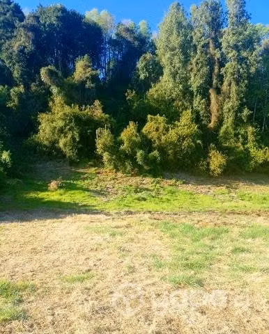 Venta Terreno de 6450m² camino a Freire Villarrica