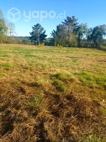 Venta Terreno de 6450m² camino a Freire Villarrica