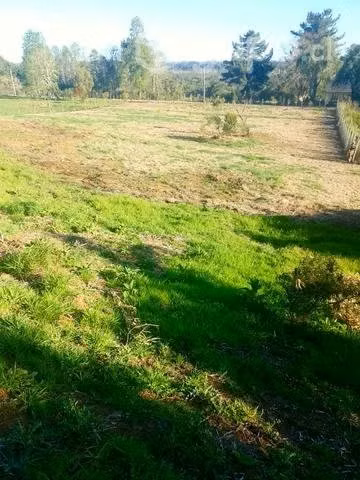 Venta Terreno de 6450m² camino a Freire Villarrica