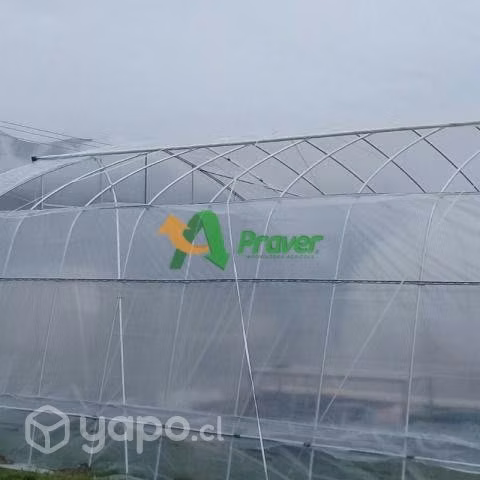 Praver invernadero 120 mts