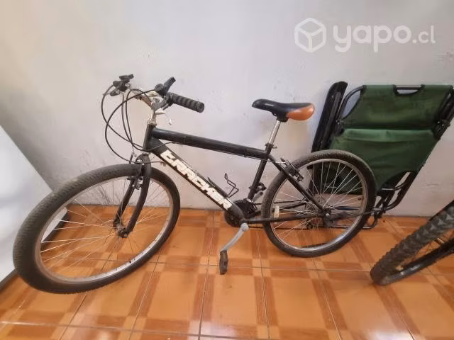 Bicicleta