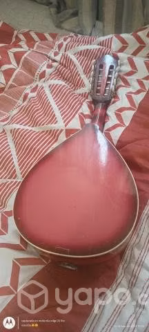 mandolina