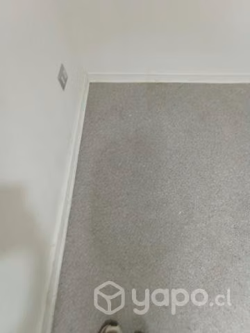 Limpieza de alfombras