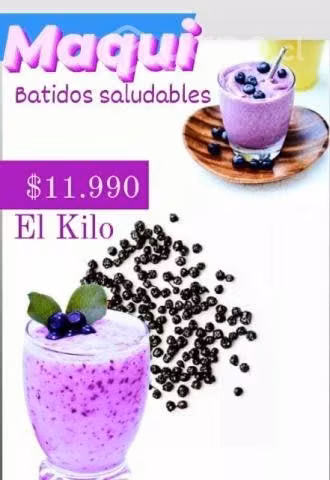 Maqui Grano Grande Deshidratado - Imagen 2