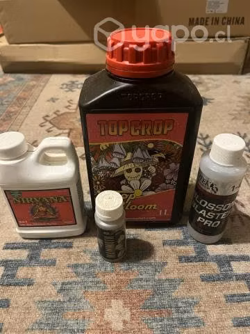 Carpa Ecopro box Full rendimiento