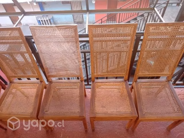 Restauraciones , junco