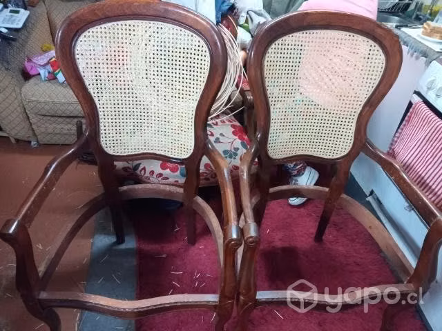 Restauraciones , junco