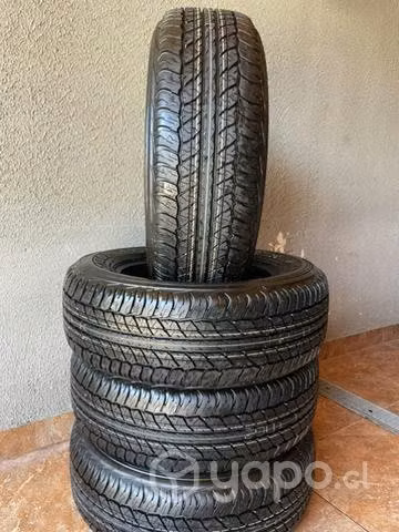 Neumáticos dunlop at