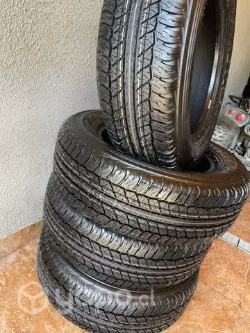 Neumáticos dunlop at
