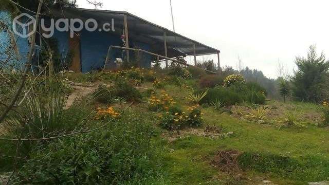 Parcela lago rapel - Imagen 7
