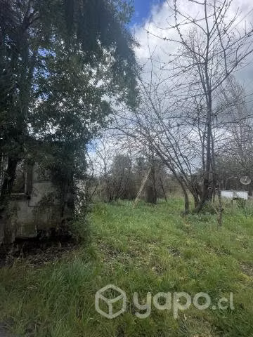Parcela trafun - rio bueno - Imagen 6