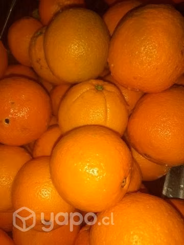 Mermelada de naranja casera