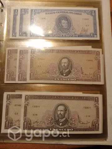 Billetes nuevos