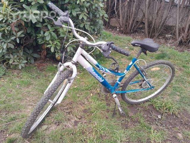 Bicicleta bianchi aro 26 - Imagen 2