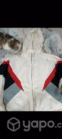 Lote con 22 prendas mujer/hombre