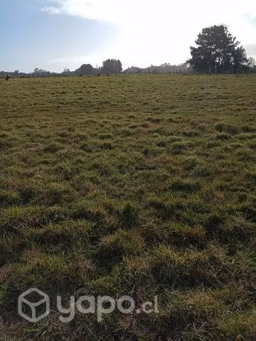 Se vende parcela
