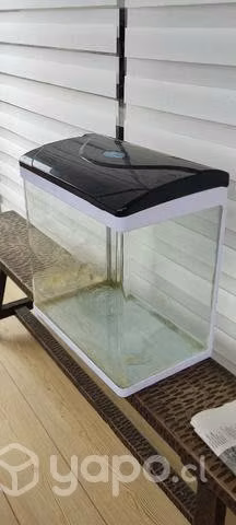 Acuario peces