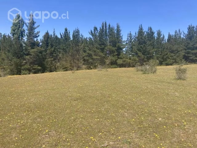 Se venden parcelas de agrado en yumbel