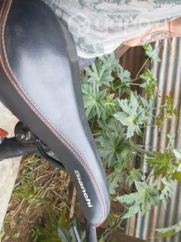 Bicicleta Bianchi aro 27.5