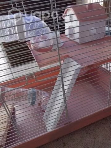 Jaula hamster