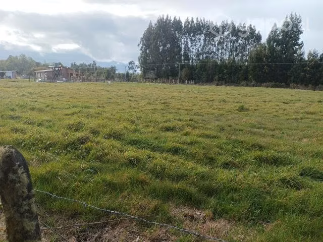 Parcela 5000 m²