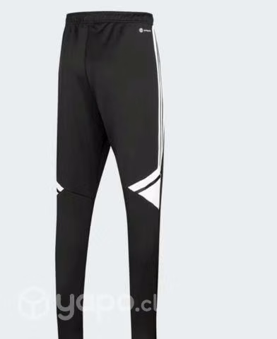 Pantalon deportivo colo colo - Imagen 2