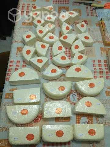 Queso de cabra 100% natural del valle aconcagua
