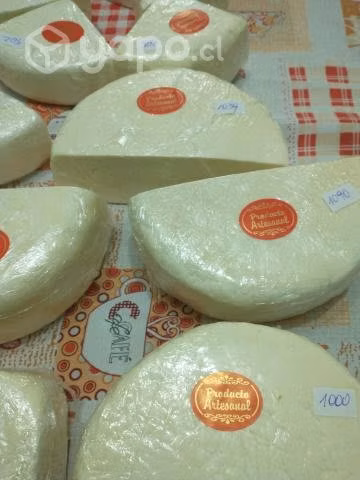 Queso de cabra 100% natural del valle aconcagua
