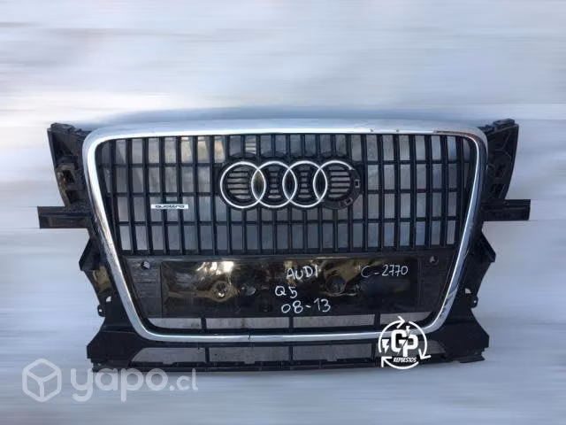 Mascara audi q