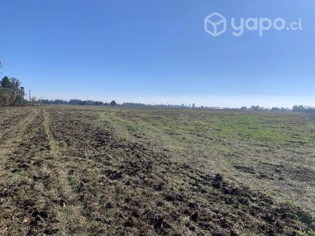 Parcela 5.000mt Camino a pinto km3