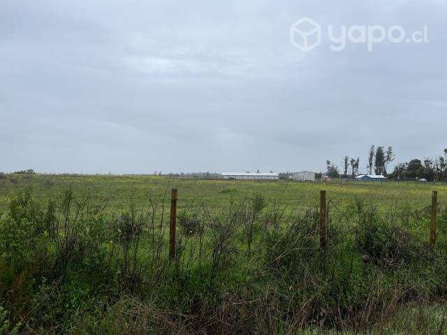 Parcela 5.000mt Camino a pinto km3 - Imagen 5