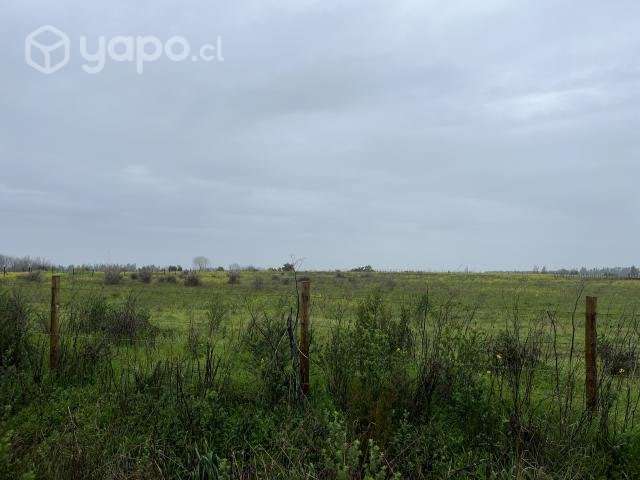 Parcela 5.000mt Camino a pinto km3 - Imagen 3