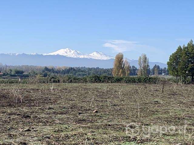 Parcela 5.000mt Camino a pinto km3 - Imagen 6