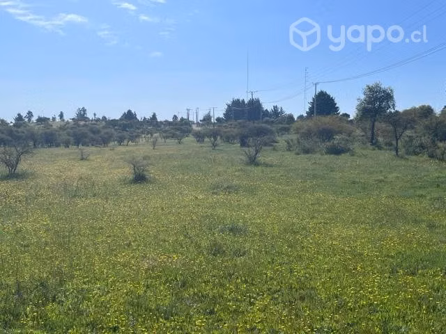 Terreno proximamente urbano