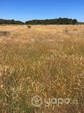 Vendo Hermosa parcela en Carelmapu