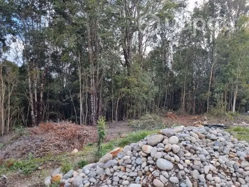 Vende Parcela con casa - Imagen 5