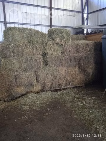 Fardos Alfalfa