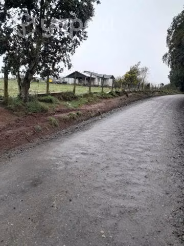 Parcela de 10 hectáreas con casas