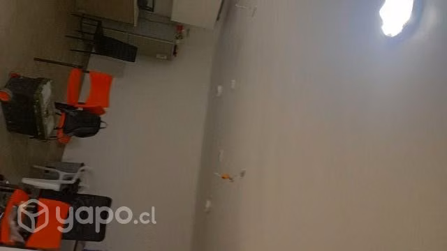 Realizó trabajos de pintura lozalin limpieza