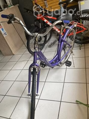 Bicicleta de paseo