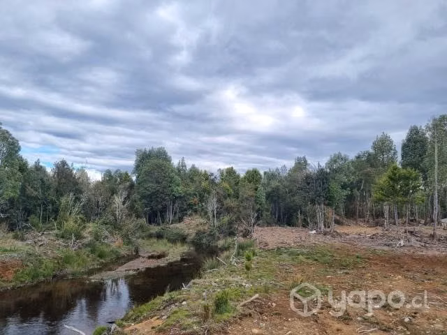 Parcela 5000 m2 con rol propio inscrita en CBR - Imagen 11