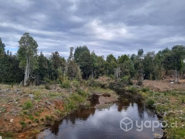 Parcela 5000 m2 con rol propio inscrita en CBR - Imagen 9