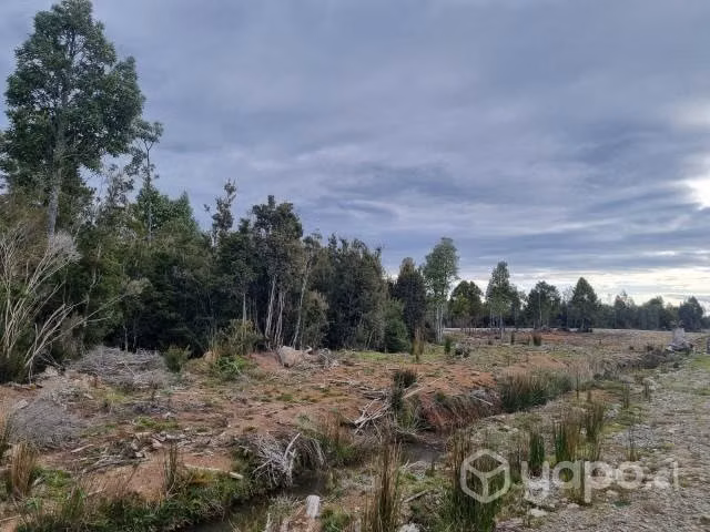 Parcela 5000 m2 con rol propio inscrita en CBR - Imagen 8