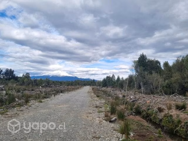 Parcela 5000 m2 con rol propio inscrita en CBR - Imagen 13